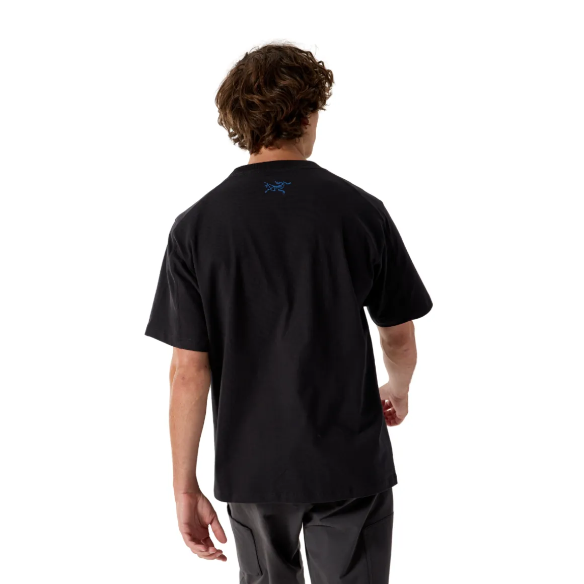 Arc'teryx Kragg Cotton Tee, herre (Black)