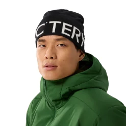 Arc'teryx Word Head Toque, hue (Orca)