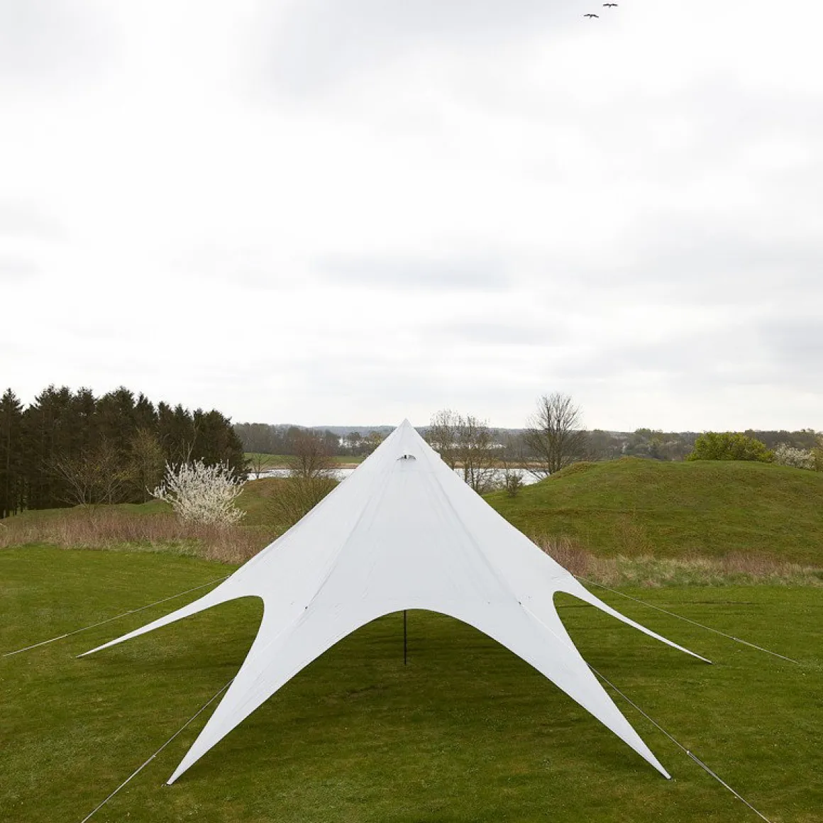 Asivik Startent