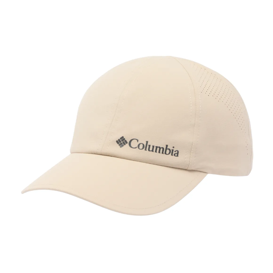Columbia Silver Ridge IV Ball Cap (Acient Fossil)