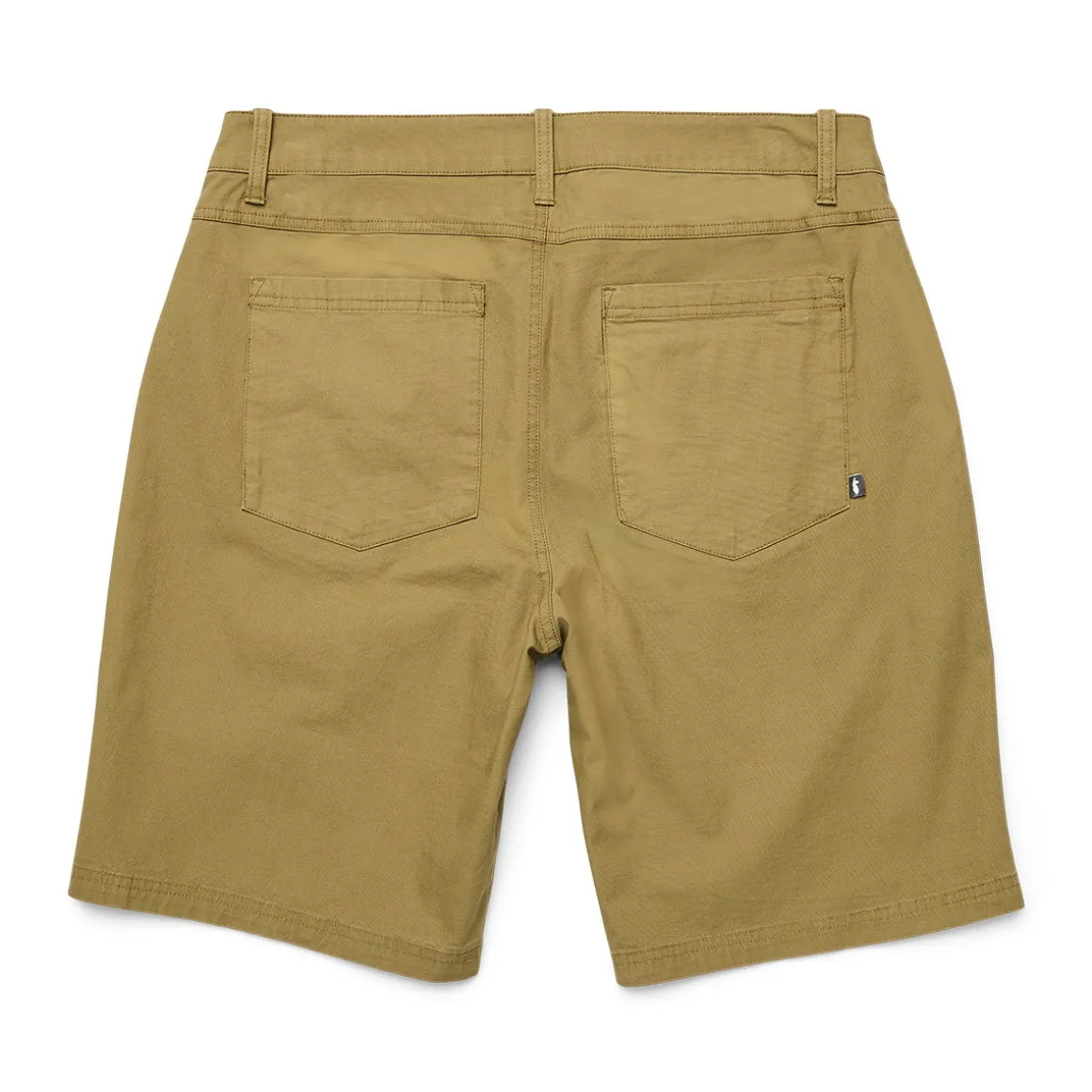 Cotopaxi Ambato Shorts, herre (Moss)