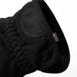 Hestra Taifun Windstopper handsker