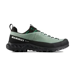 Mammut Alnasca IV Low GTX approachsko, herre (Deep Silver Sage / Pinea)