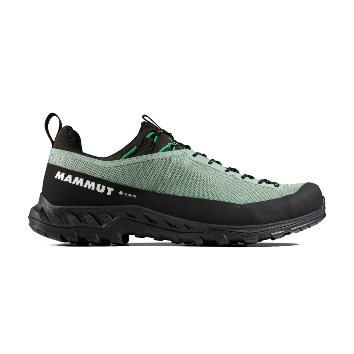 Mammut Alnasca IV Low GTX approachsko, herre (Deep Silver Sage / Pinea)