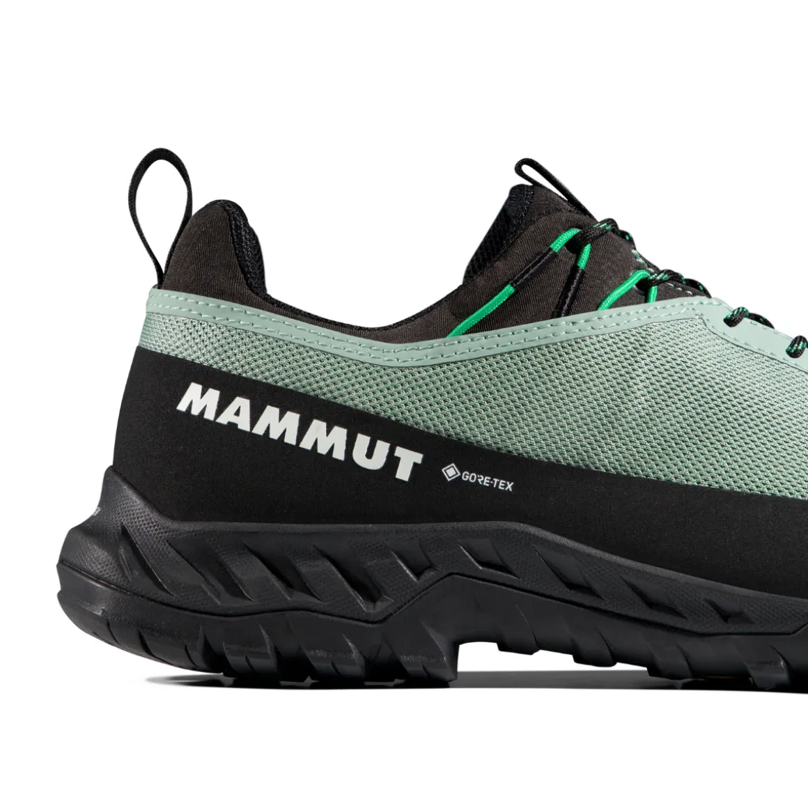 Mammut Alnasca IV Low GTX approachsko, herre (Deep Silver Sage / Pinea)