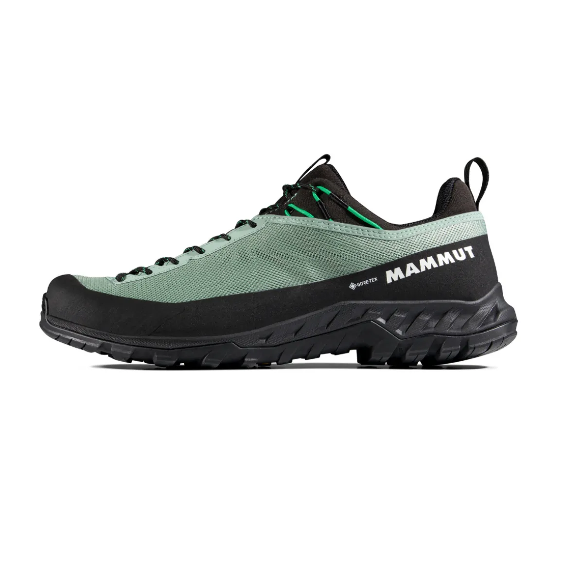 Mammut Alnasca IV Low GTX approachsko, herre (Deep Silver Sage / Pinea)