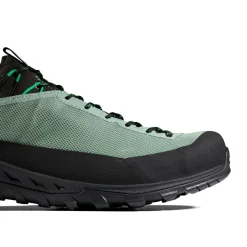 Mammut Alnasca IV Low GTX approachsko, herre (Deep Silver Sage / Pinea)