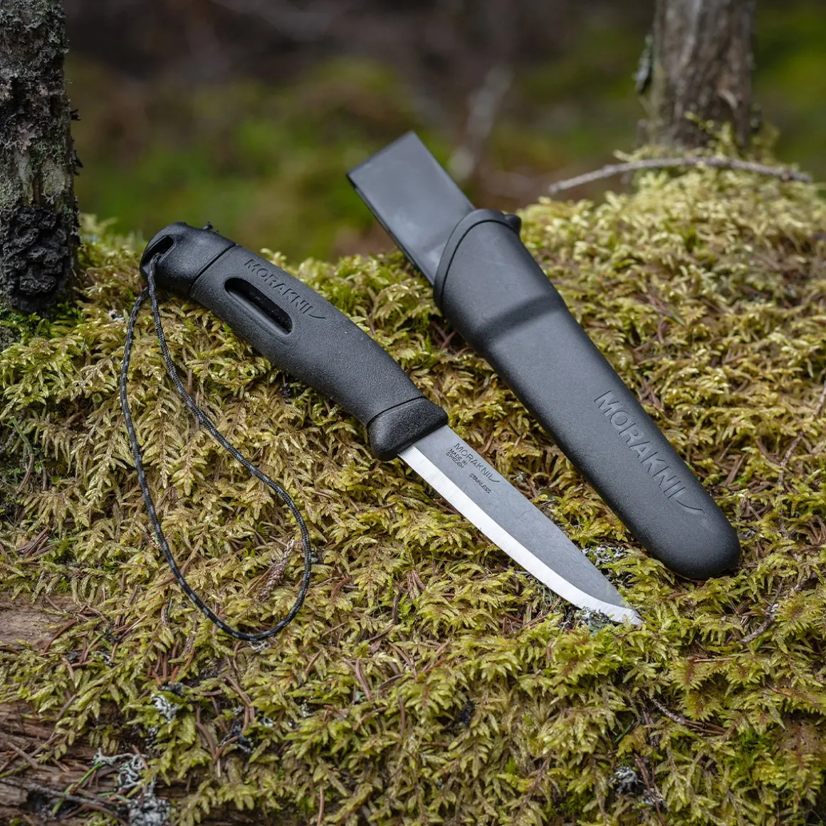 Morakniv Companion Spark (S) + Tændstål