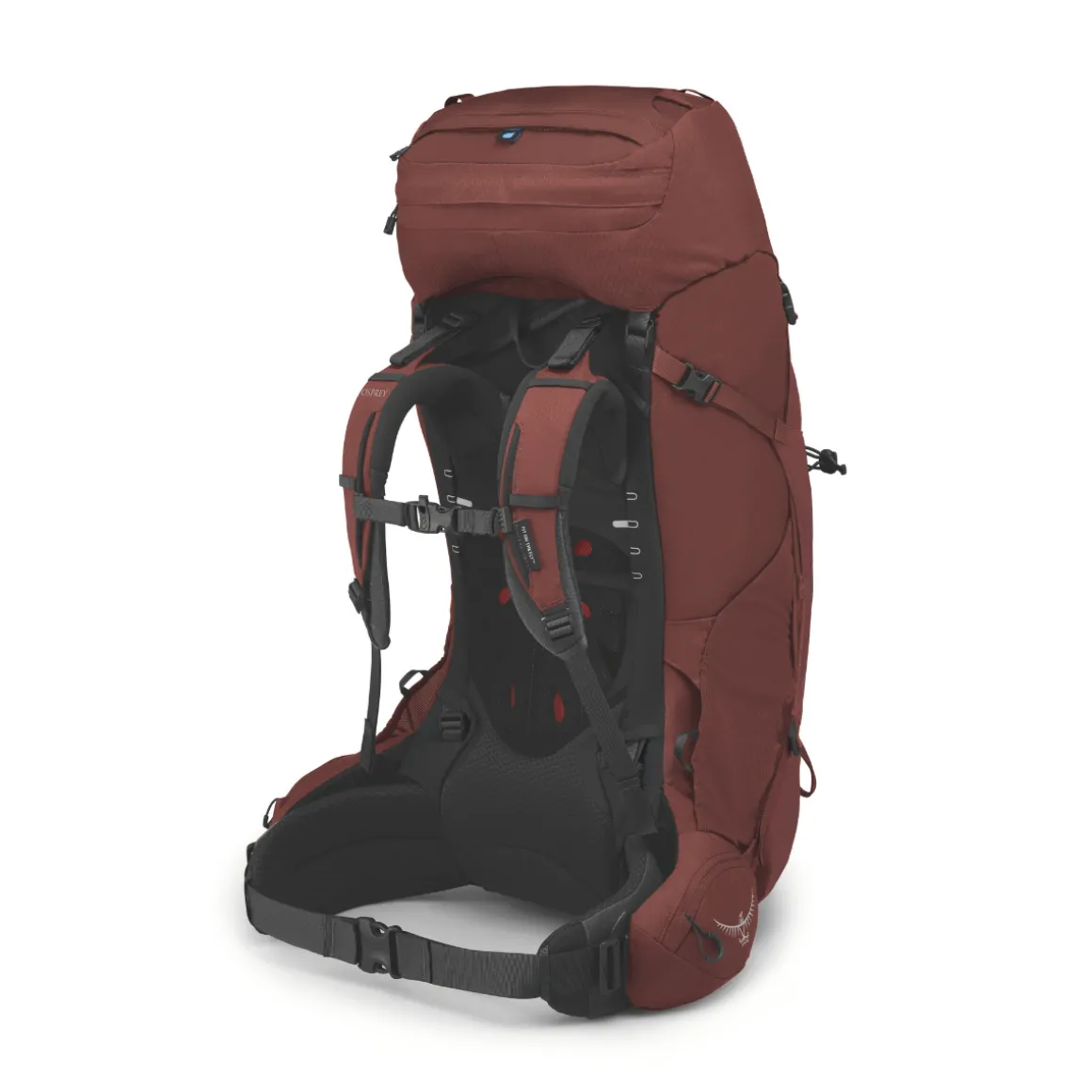 Osprey Aether 65 L vandrerygsæk, herre (Deep Acorn)