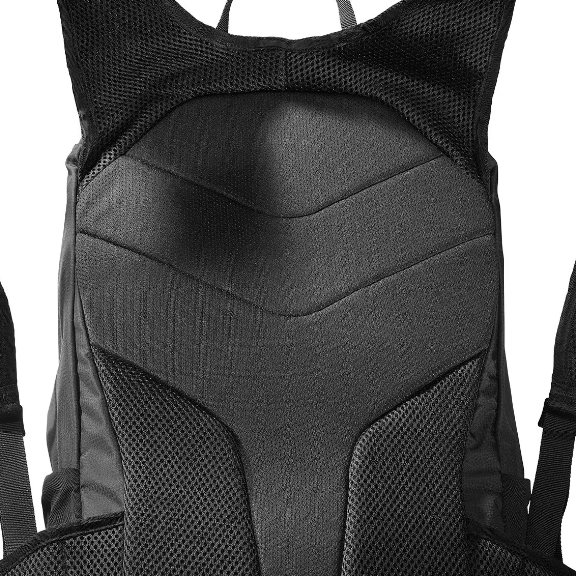 Salomon Trailblazer 20 L rygsæk (Black)