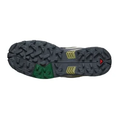 Salomon X Ultra 5 vandresko, herre (Aloe Asphalt)
